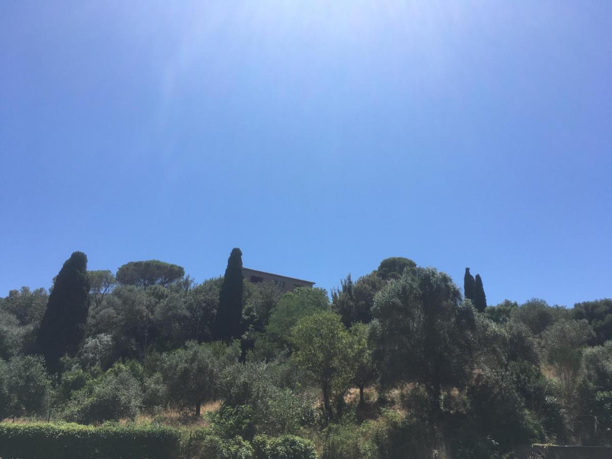 Ferienwohnung Un Quadro Sulla Giannella Monte Argentario Exterior foto
